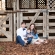 family and child photos raleigh photographer