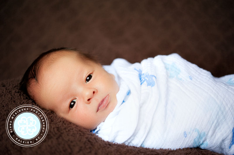 Baby L: Newborn Photography by Raleigh photographer