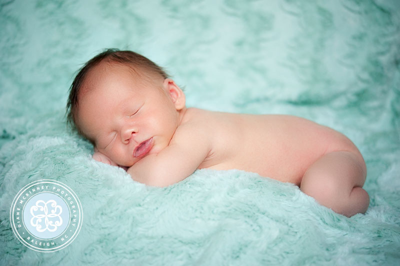 newborn Photos raleigh photographer