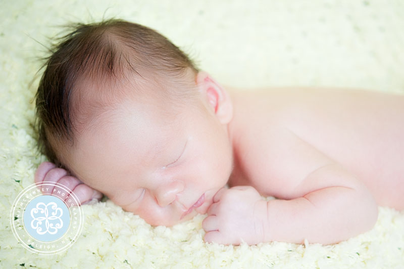 newborn Photos raleigh photographer
