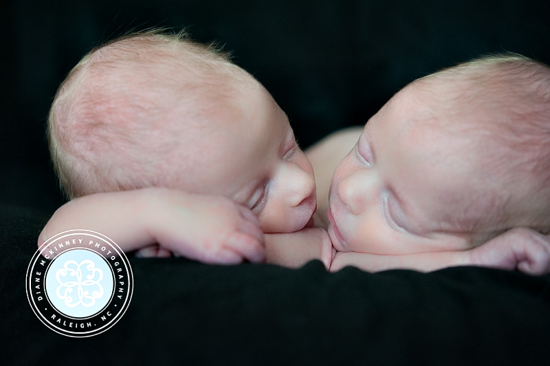 newborn photos twin boys