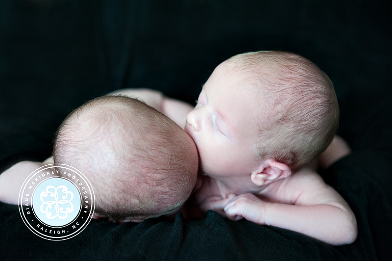 newborn photo of twins