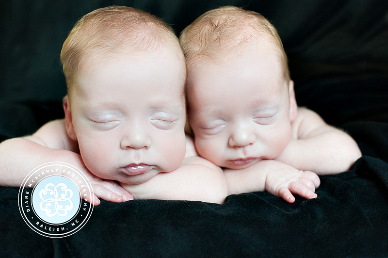 newborn photos twin boys