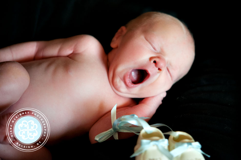 raleigh newborn photographer