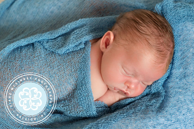 newborn photographers raleigh