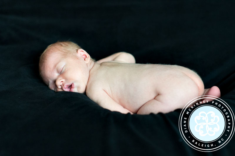 raleigh newborn photographers