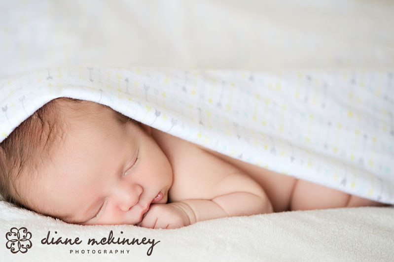newborn photographers raleigh nc