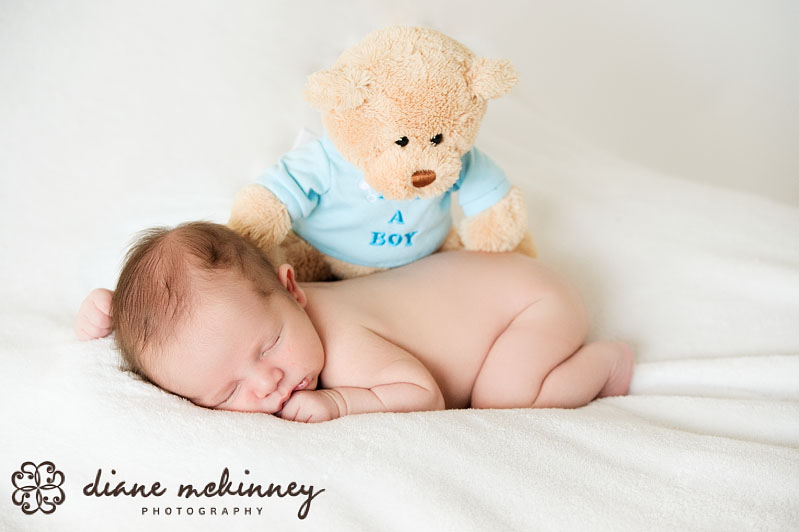 newborn photographers raleigh nc