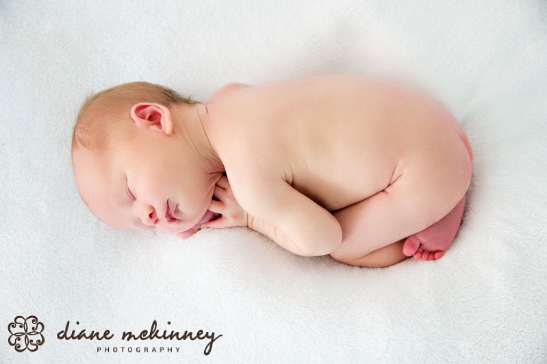 raleigh photography newborns