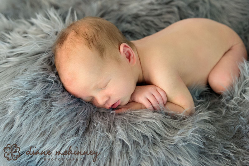 raleigh photography newborns