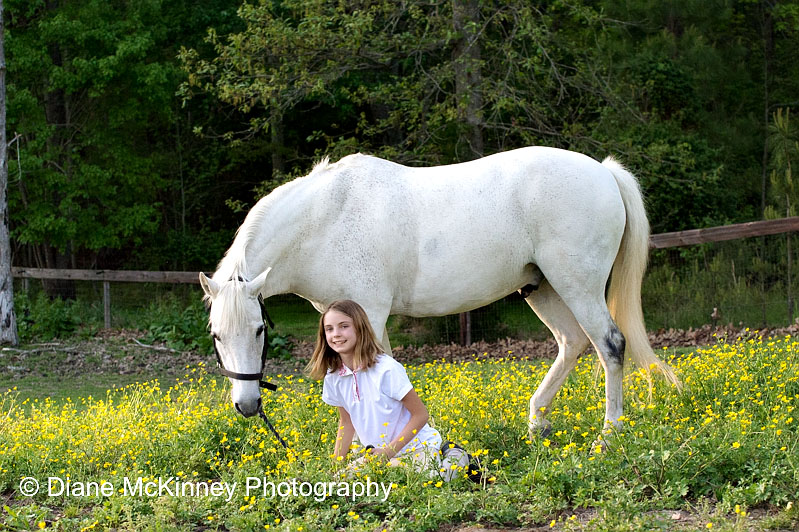 equestrian family child photographer