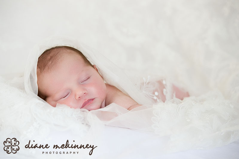 newborn photographer raleigh nc