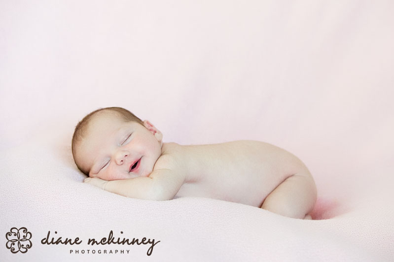 newborn photographer raleigh nc