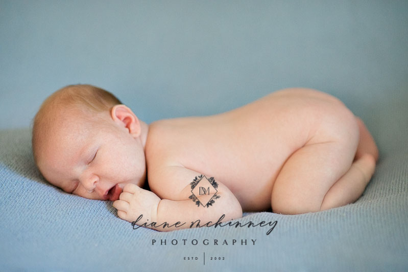 Little Brother’s Newborn Photos | Raleigh Baby Photographer