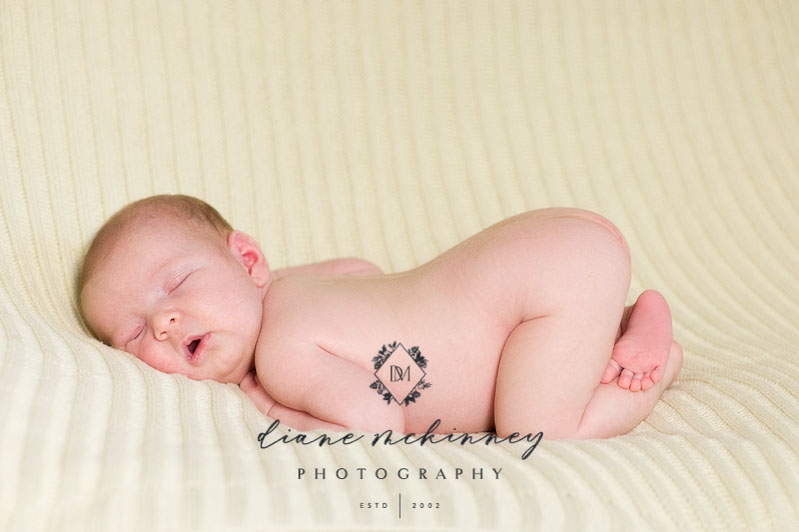 newborn baby boy photos